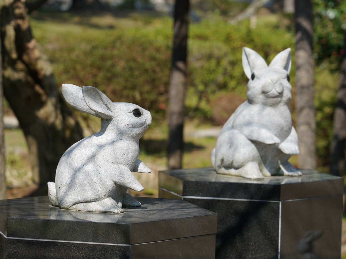 bluuue~🌱🦙 tweet media