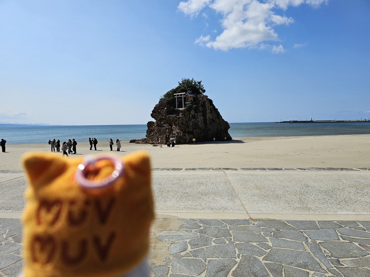 bluuue~🌱🦙 tweet media