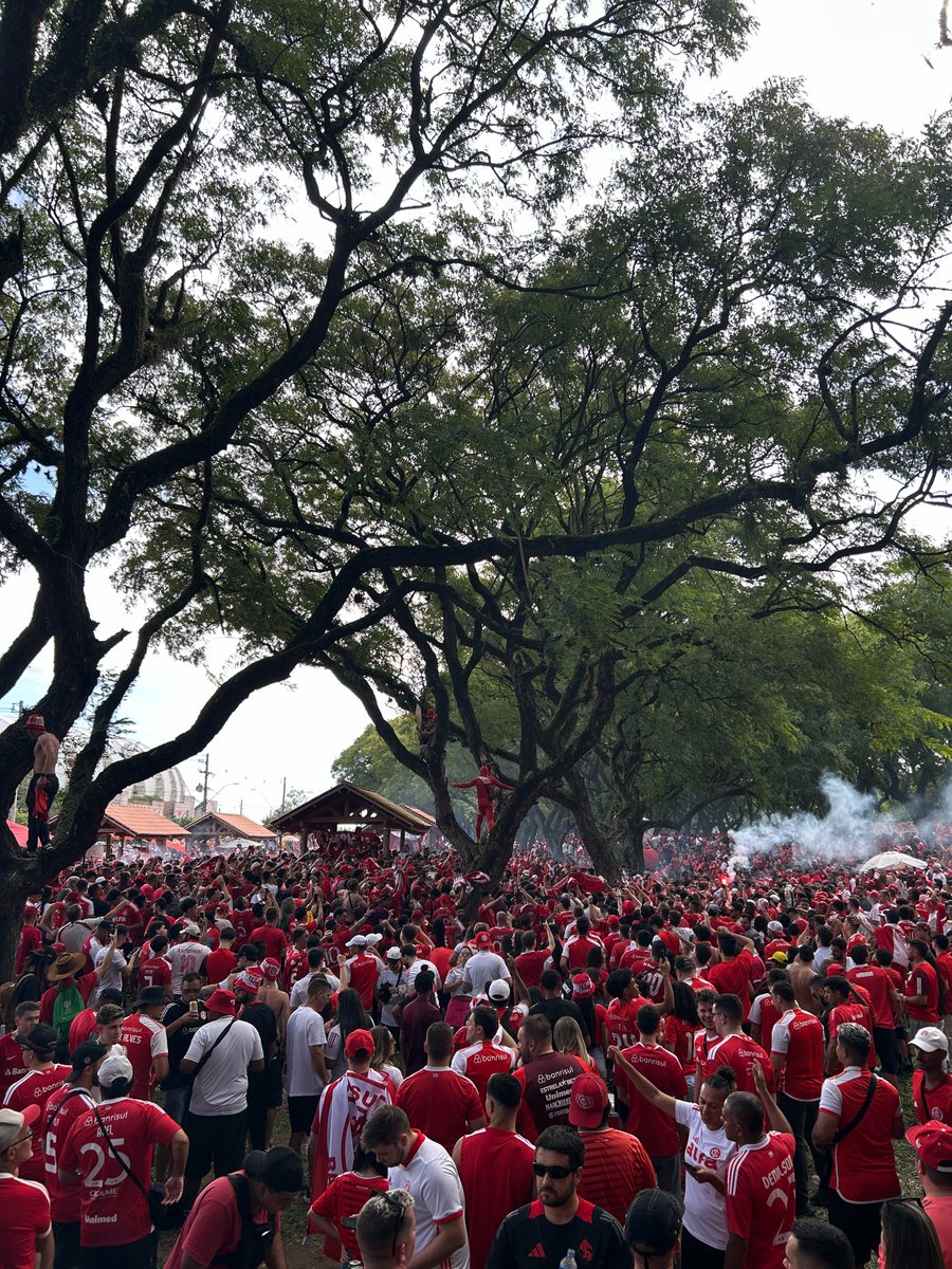 kali analogica tweet media