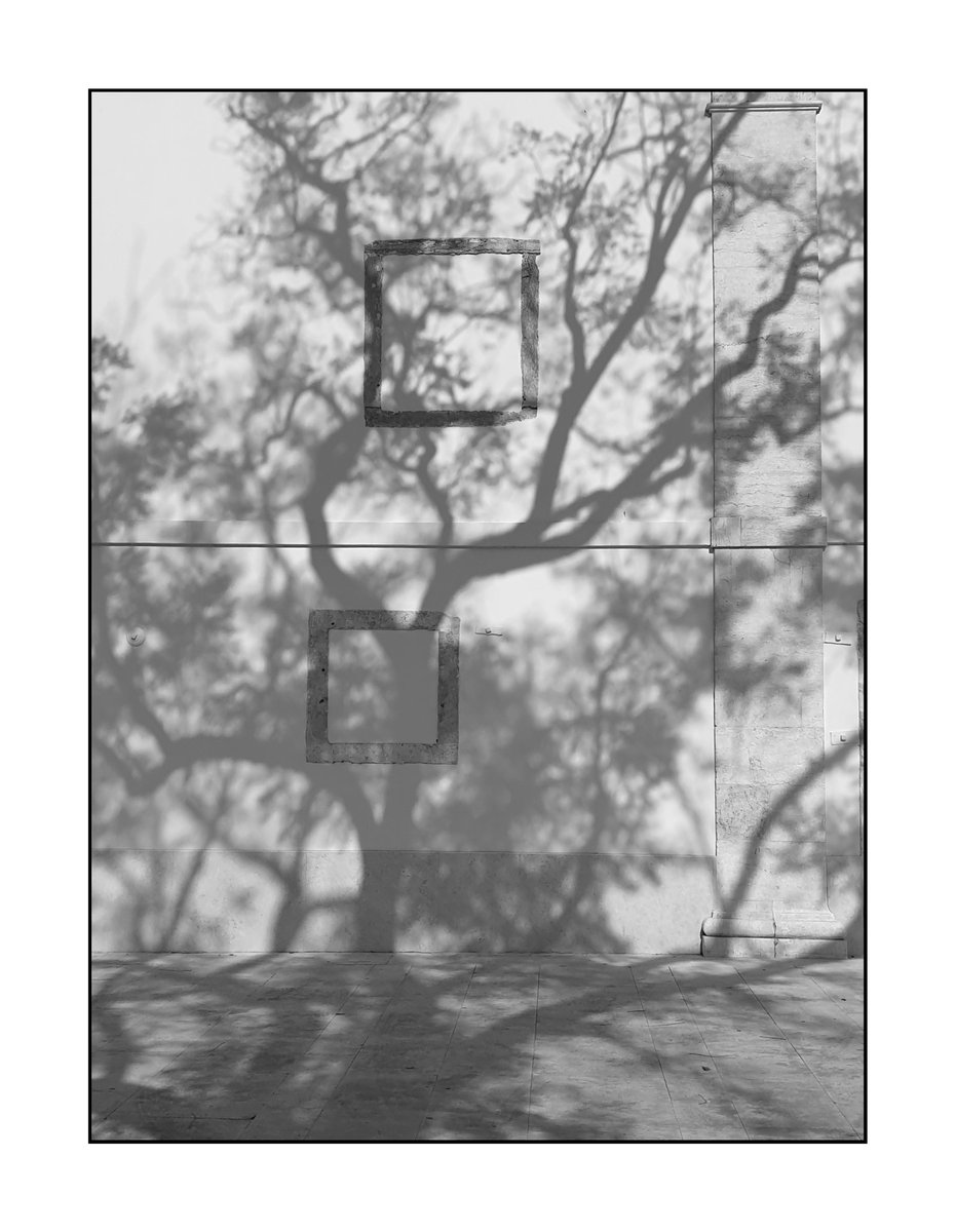 Vitorino Ramos tweet media