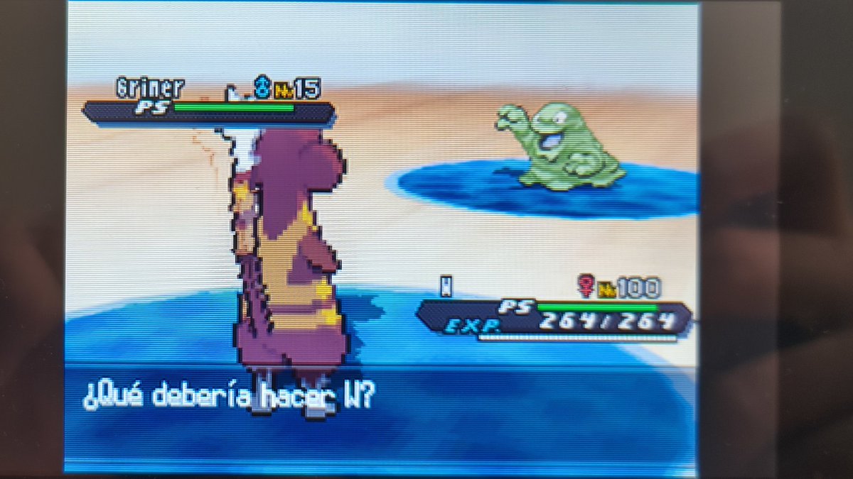 Patata 🥔 tweet media