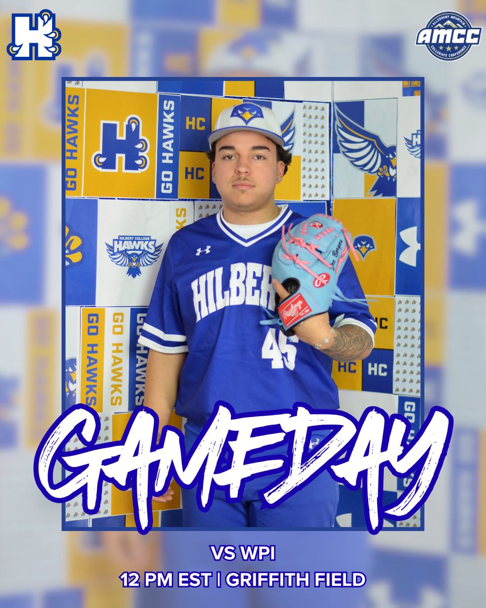 Hilbert College Baseball tweet media