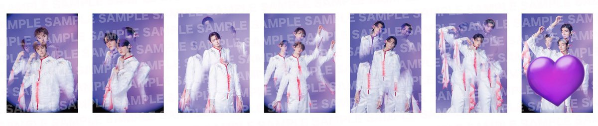 さかな。 tweet media