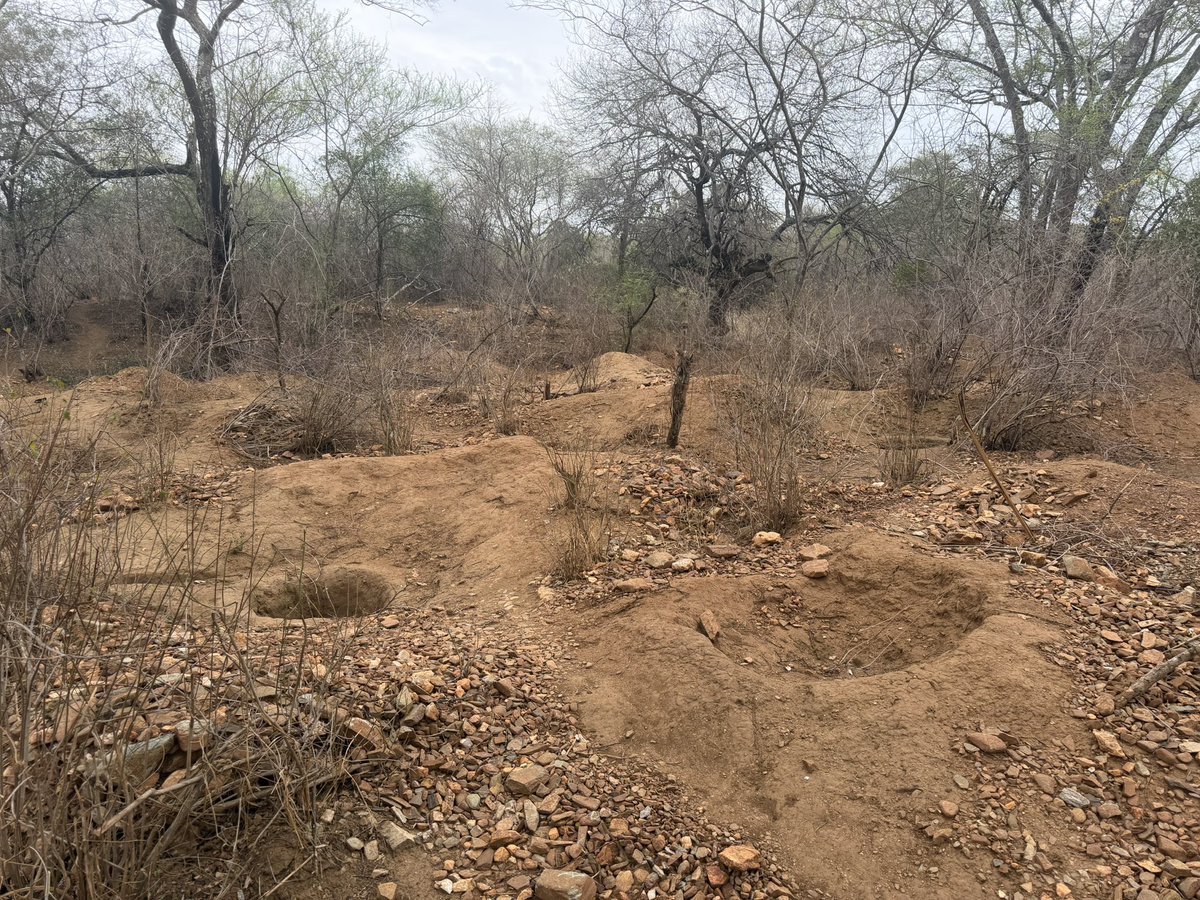 Frontier Mining Ltd tweet media