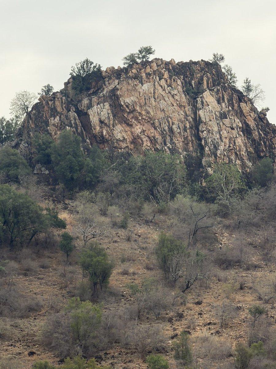 Frontier Mining Ltd tweet media