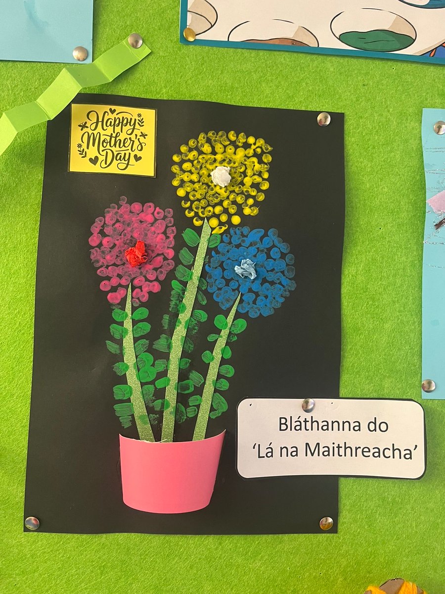 St. Brigid’s NS Redhills tweet media