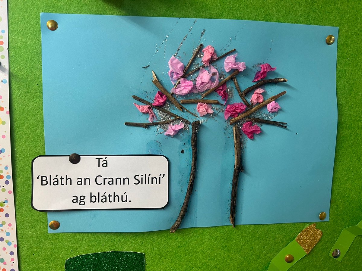 St. Brigid’s NS Redhills tweet media