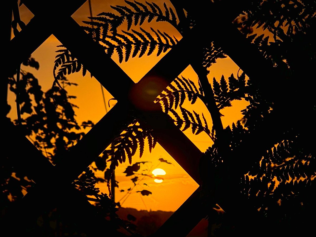 Mark Davis tweet media