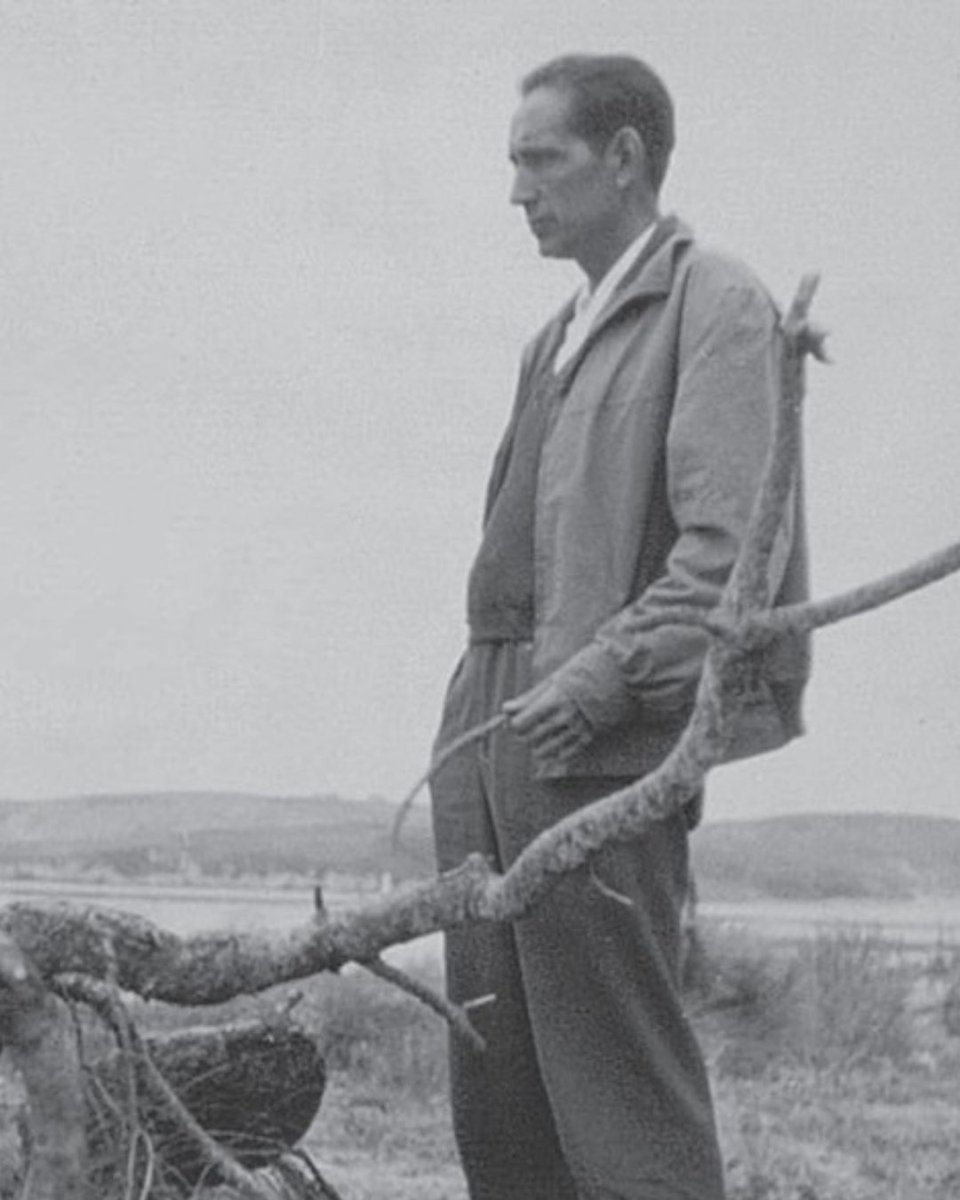 Biblioteca Nacional de España tweet media