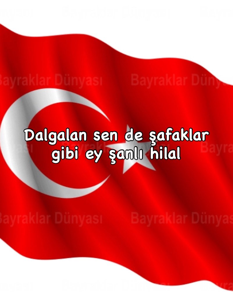 Prof. Dr. Ali Erbaş tweet media