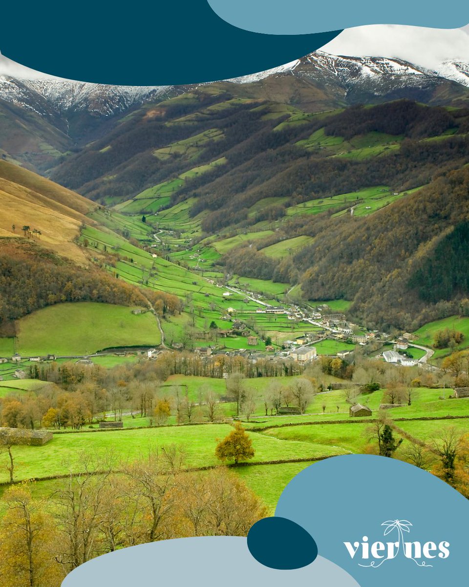 Programa Viernes tweet media