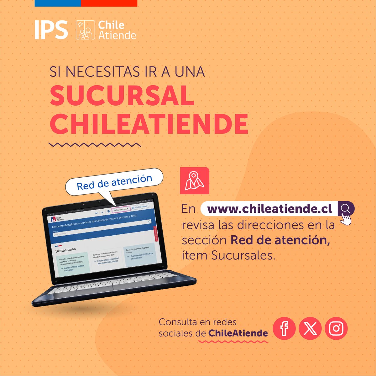 IPSChile tweet media