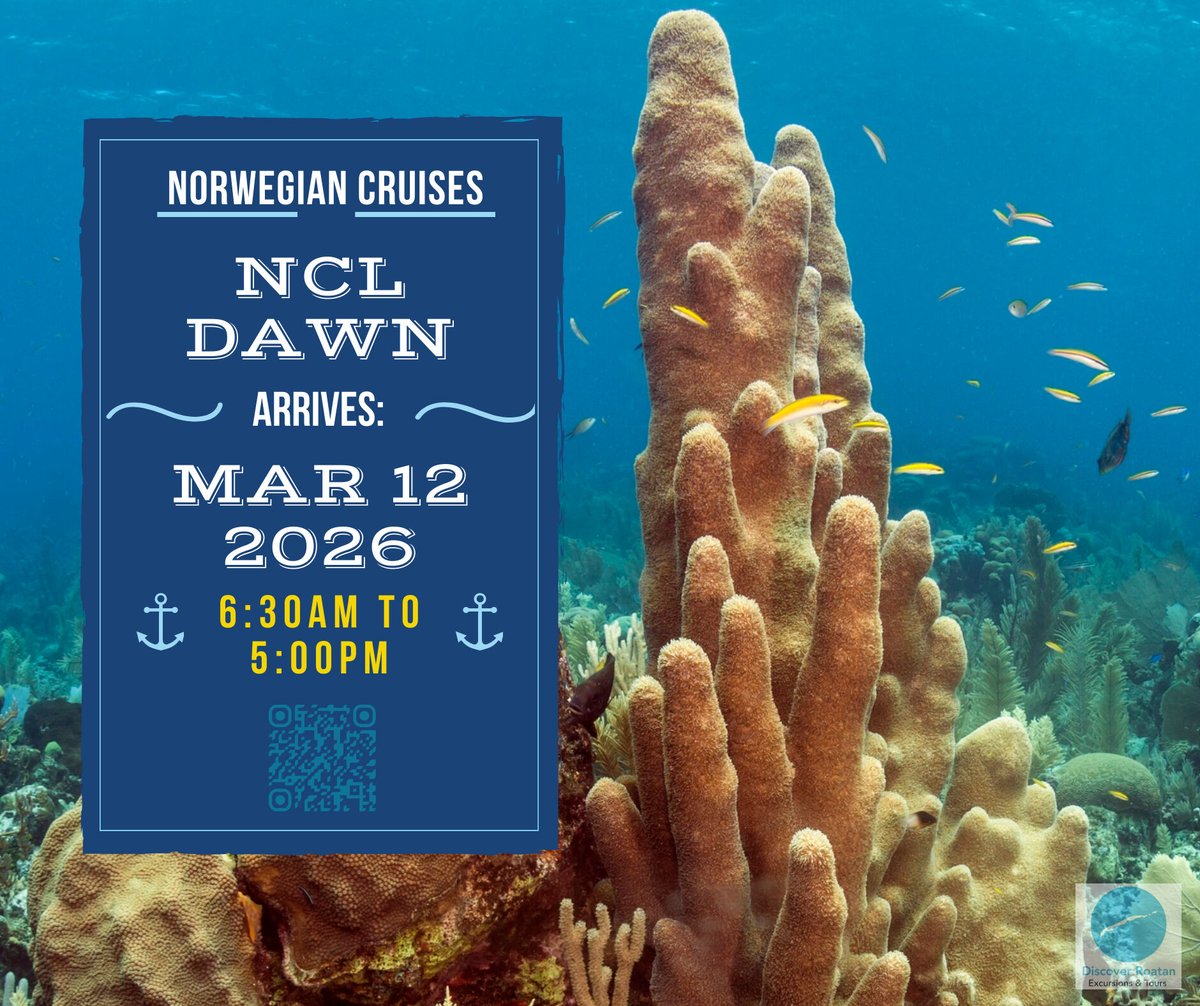 The Port of Roatan welcomes the Norwegian Dawn today!

🚢 Schedule: March 12, 2026 - 6:30am to 5:00pm (GMT-6)

➡️ 2026 Port Schedule: hi.discoverroatan.net/kYvG

#travel #cruise #caribbean #honduras #roatan #ncl #nclcruises #ncldawn #norwegiandawn #portofroatan #discoverroatan