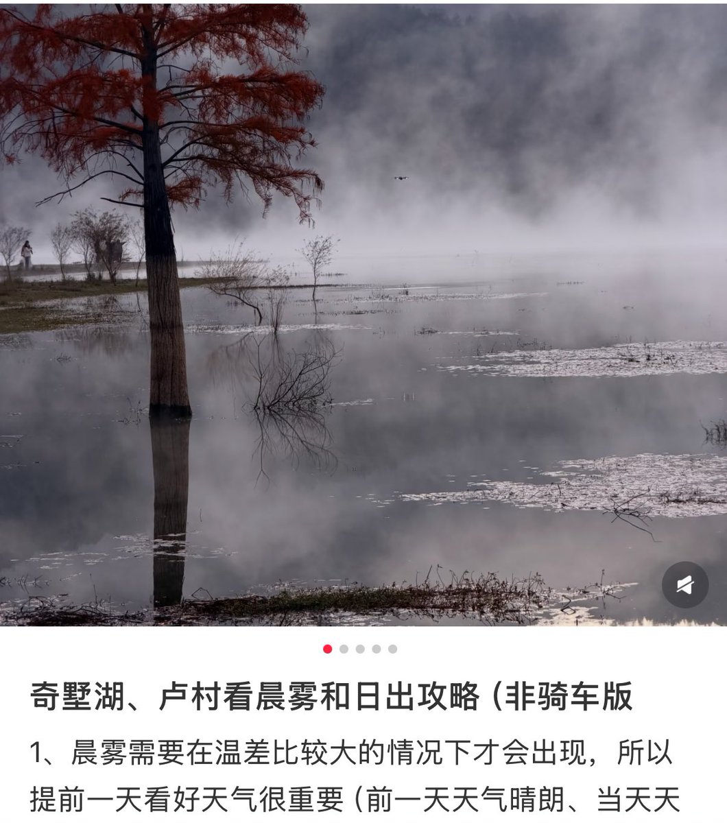 看到这个晨雾，想到刚才做攻略，很多人推荐去卢村观景台和奇墅湖看晨雾和日出。

但我转念一想，我根本起不来 🤦‍♀️🤦‍♀️

#就是这么懒