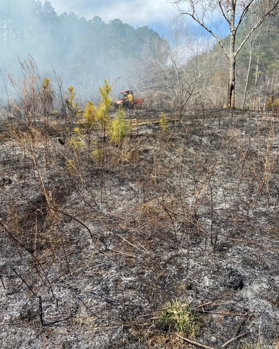 WakeGovParks's tweet photo. #BlueJayPoint staff teamed with Wake County Open Space and N.C. Forest Service for a prescribed burn to promote growth, biodiversity, and reduce invasives safely! https://t.co/KYCXWAMaLq