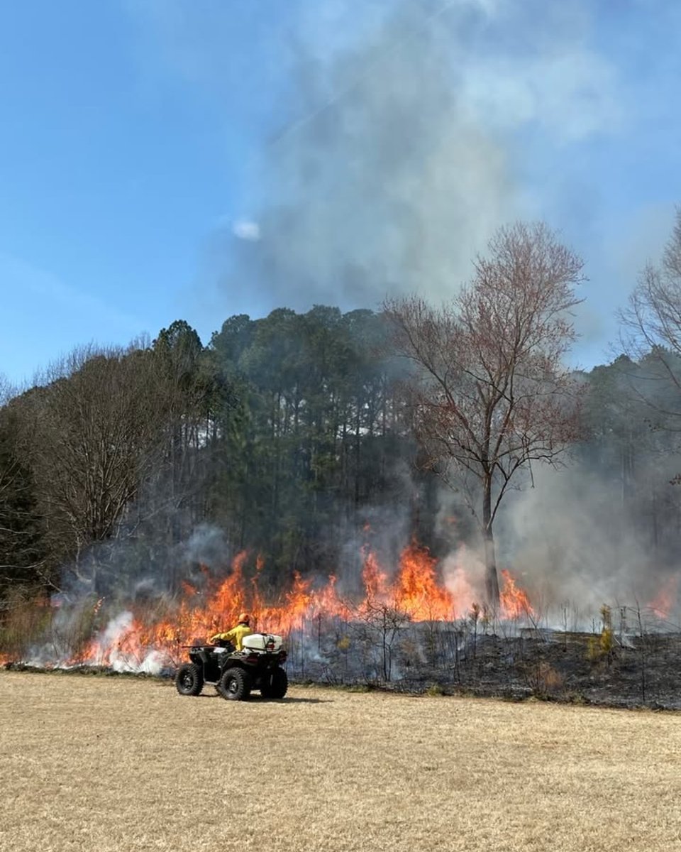 WakeGovParks's tweet photo. #BlueJayPoint staff teamed with Wake County Open Space and N.C. Forest Service for a prescribed burn to promote growth, biodiversity, and reduce invasives safely! https://t.co/KYCXWAMaLq