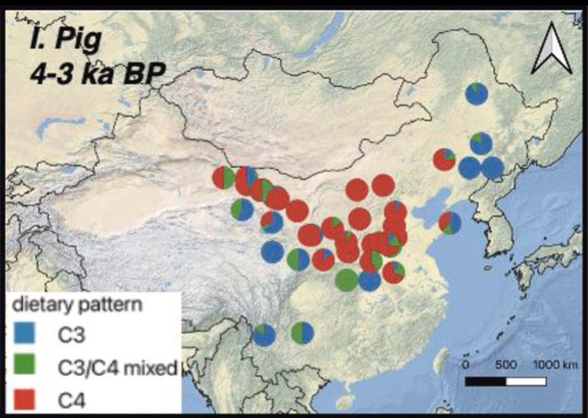Society for Archaeological Sciences tweet media