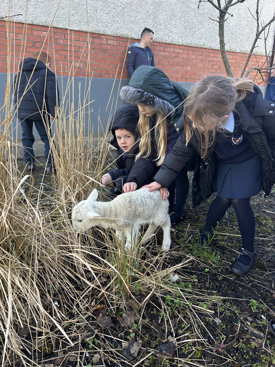 St. Brigid’s NS Redhills tweet media