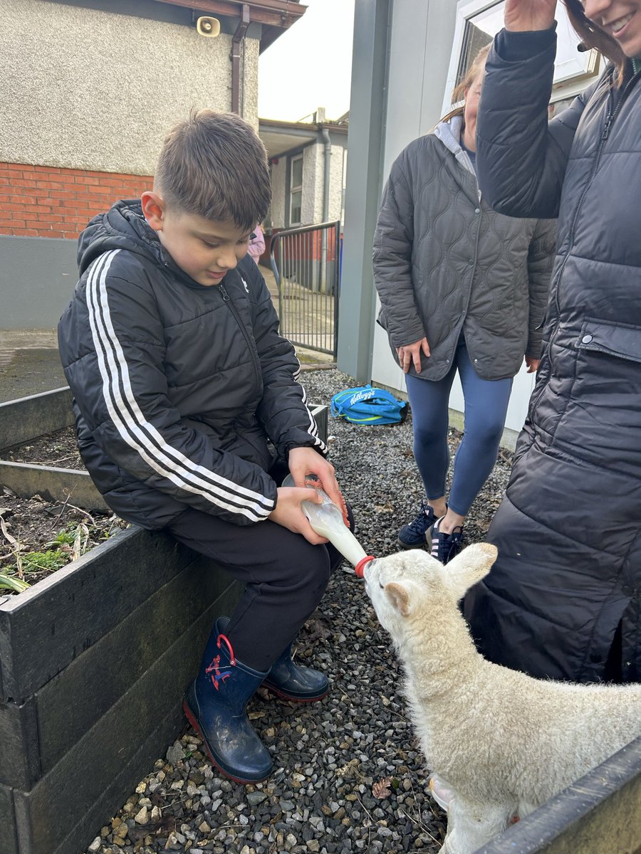 St. Brigid’s NS Redhills tweet media