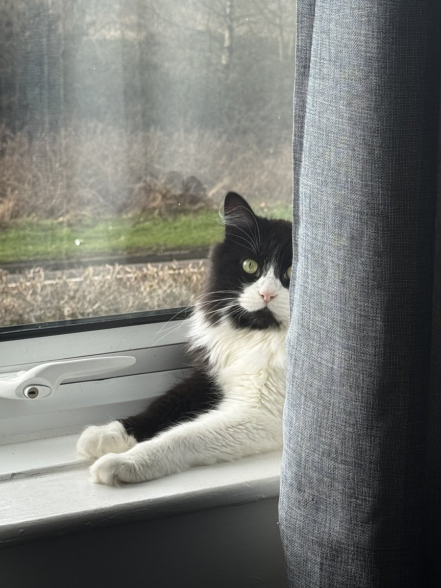 🛼GΛRO tweet media