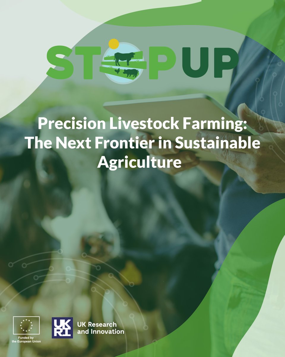 Horizon_StepUp tweet media