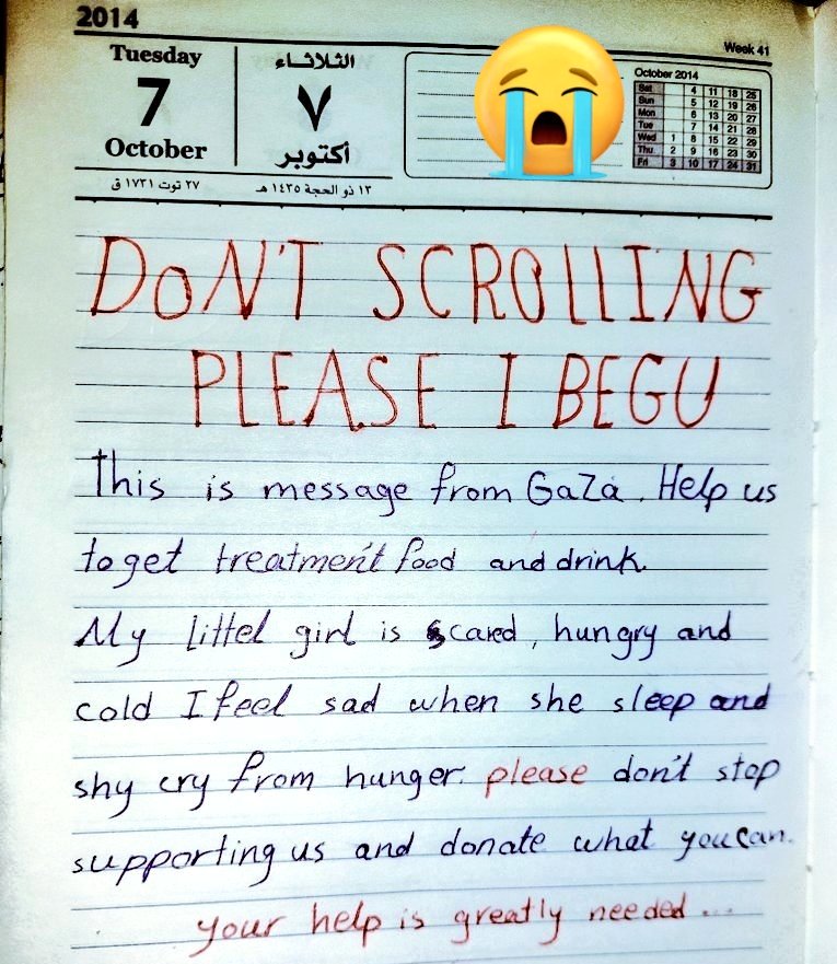 Eileen's Family 🍉🇵🇸 tweet media