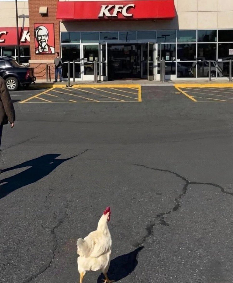 Baddy of Lagos 👑 tweet media