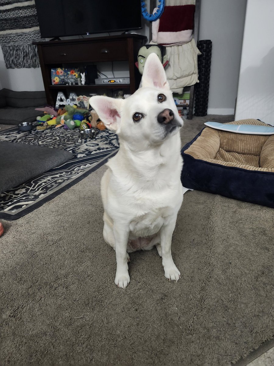 Alex Dormuth tweet media