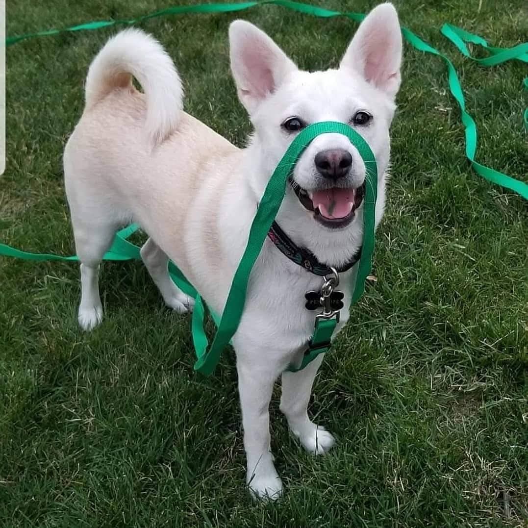 Alex Dormuth tweet media