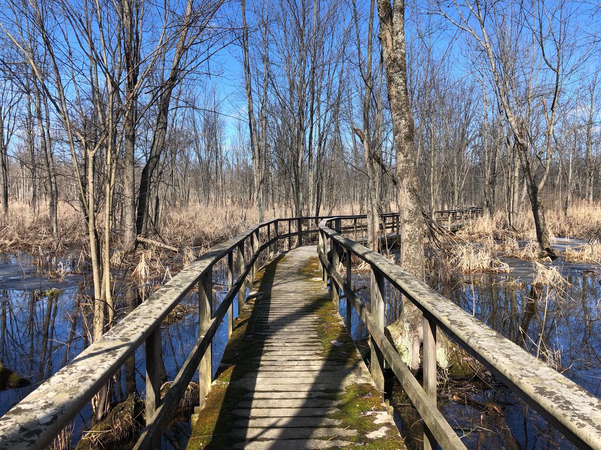 This Is Rochester! tweet media