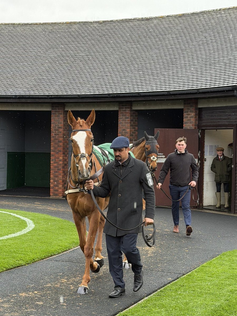 Lloyd Murphy tweet media