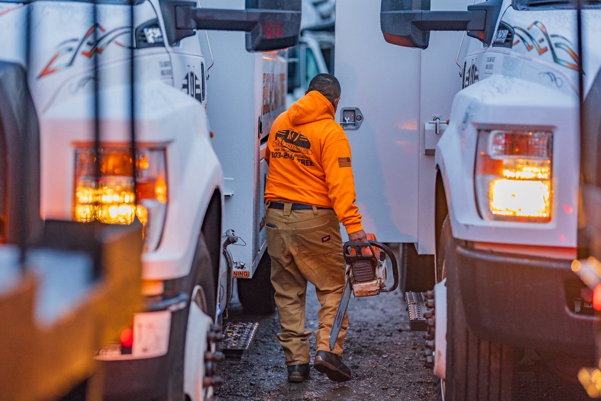 K&J Tree Service tweet media