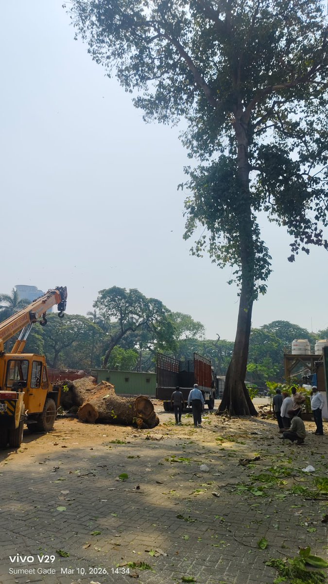 Zoru Bhathena tweet media