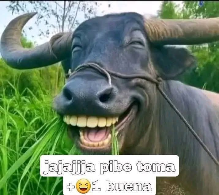 esotilin tweet media