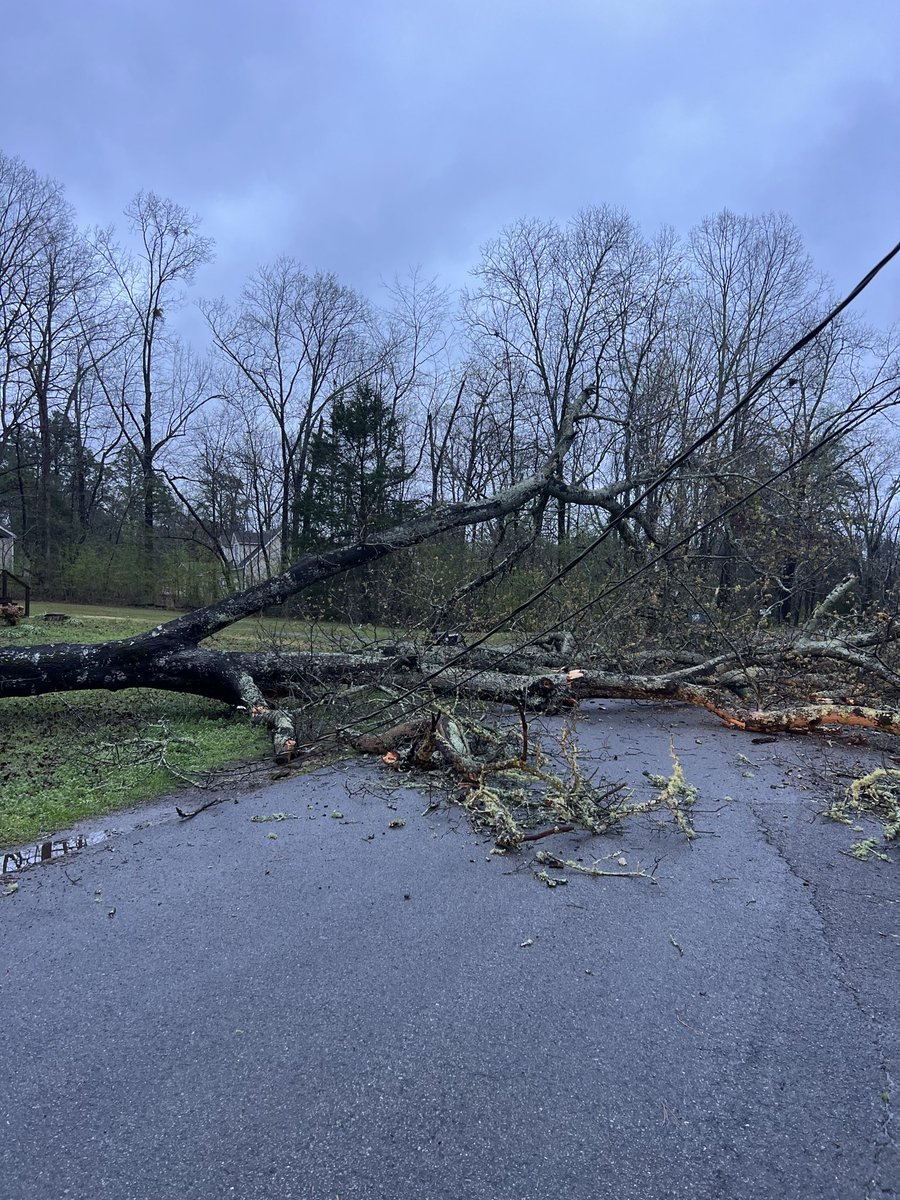 Alabama Power tweet media