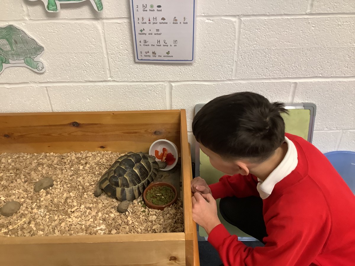 Greenfield Primary Academy tweet media