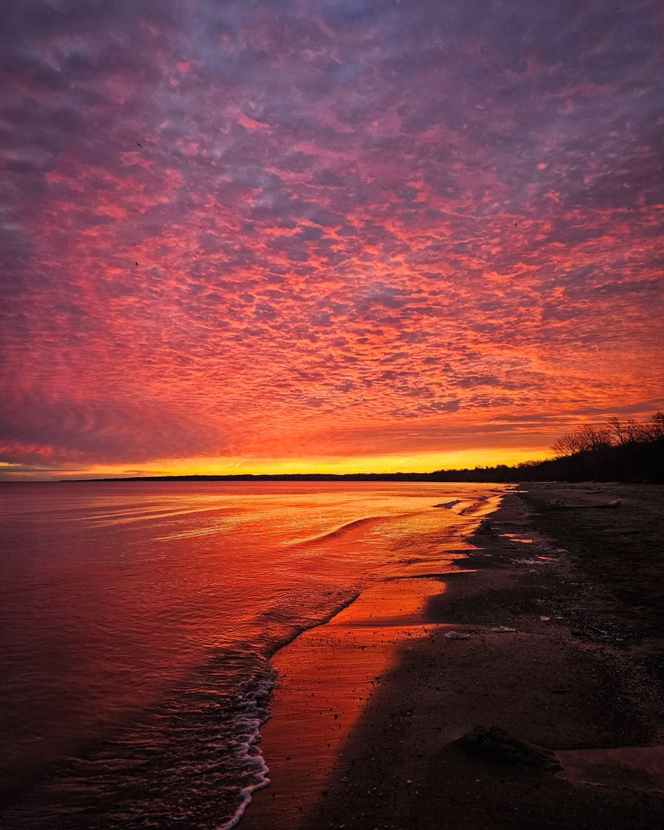 This Is Rochester! tweet media