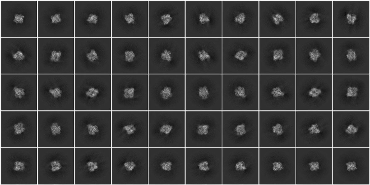 Brandon Huntington tweet media