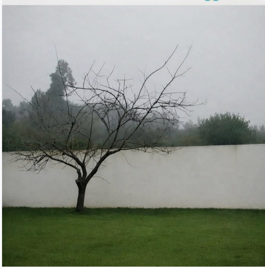 The Instigator tweet media