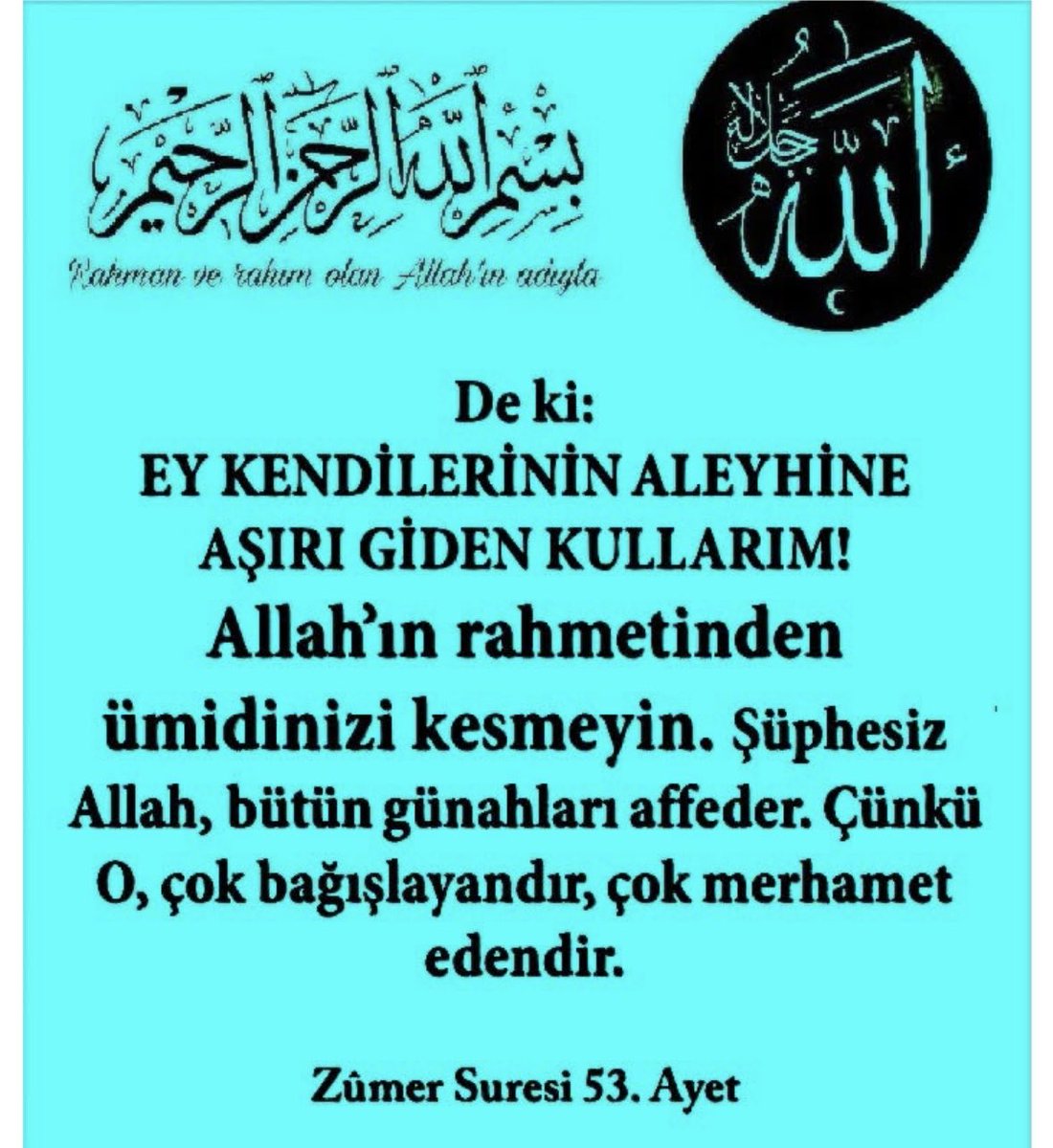 HALİT YILDIZ (@halit_yildiz63) on Twitter photo 