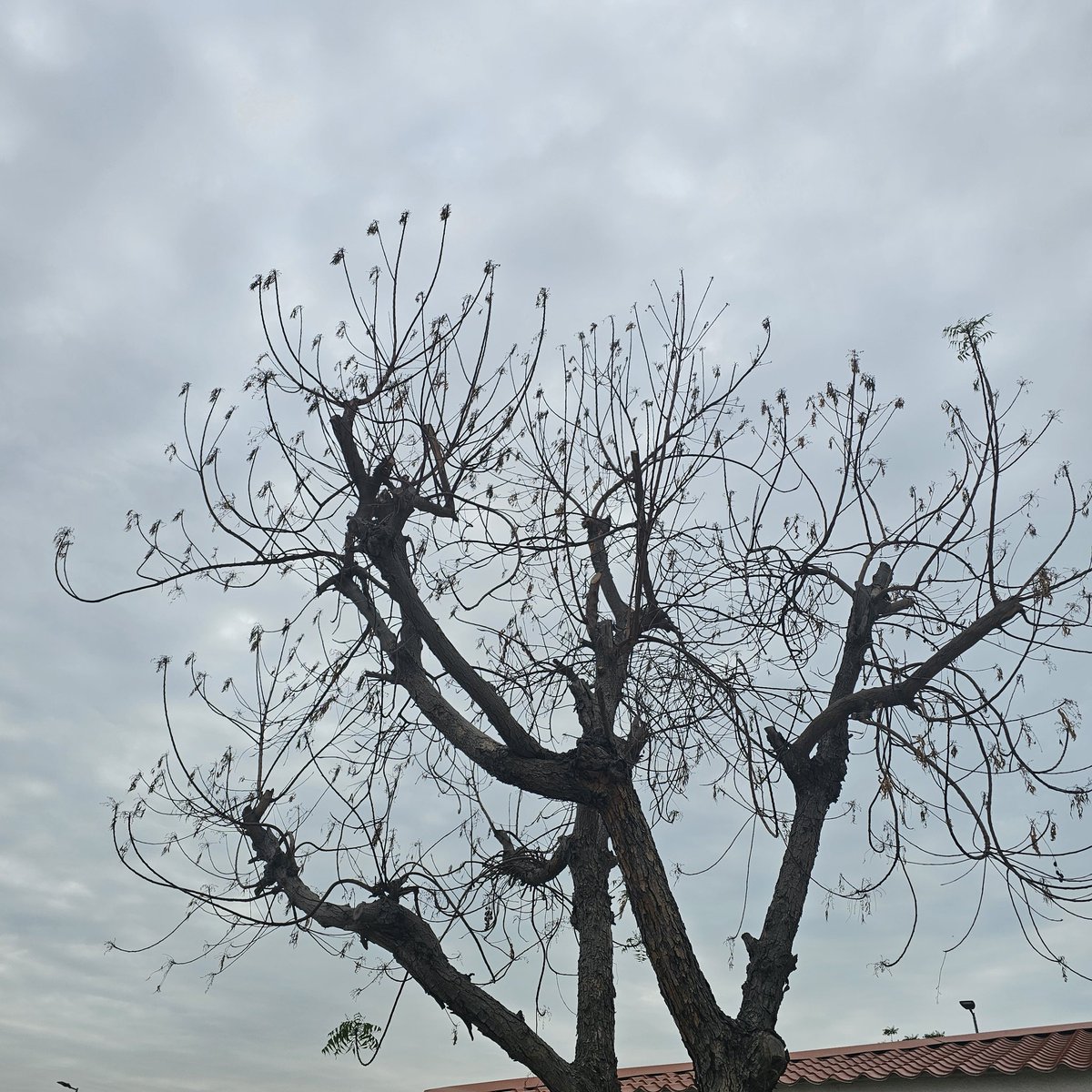 𝓝𝓪𝓼𝓲𝓻 tweet media