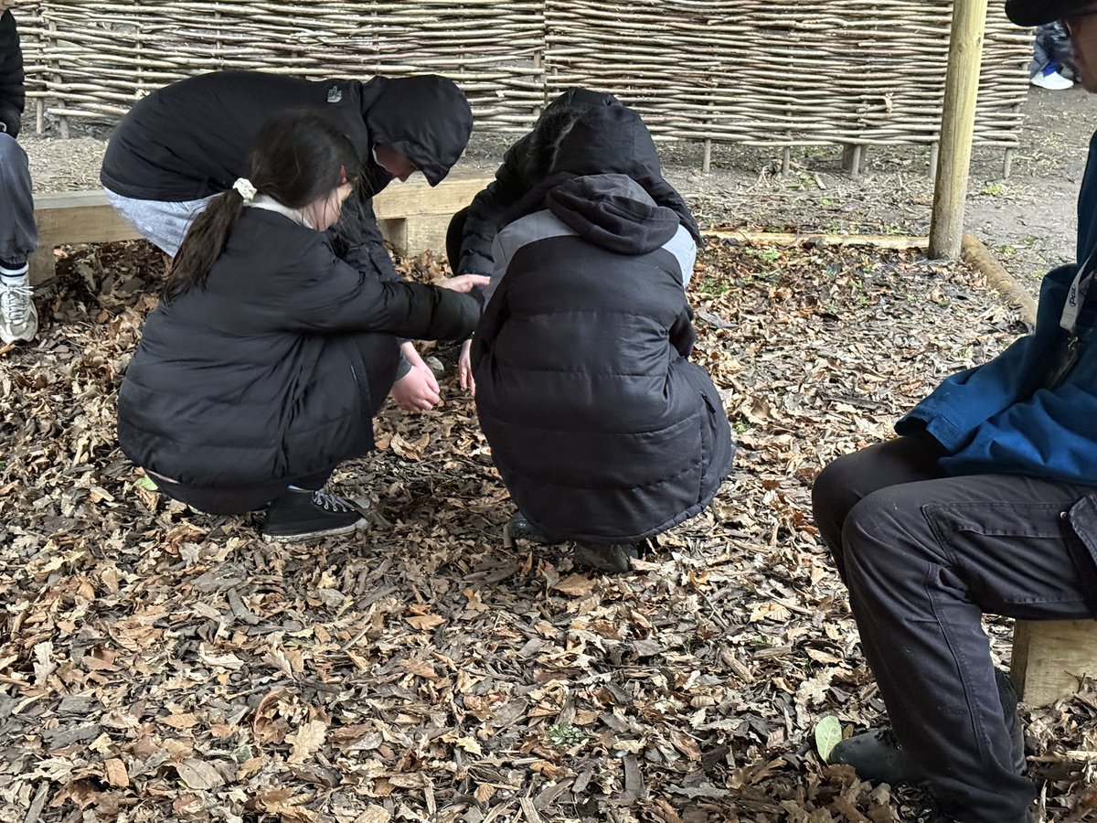 Danderhall Primary tweet media