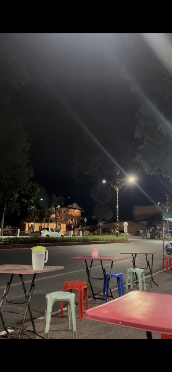 🤍🌻 tweet media