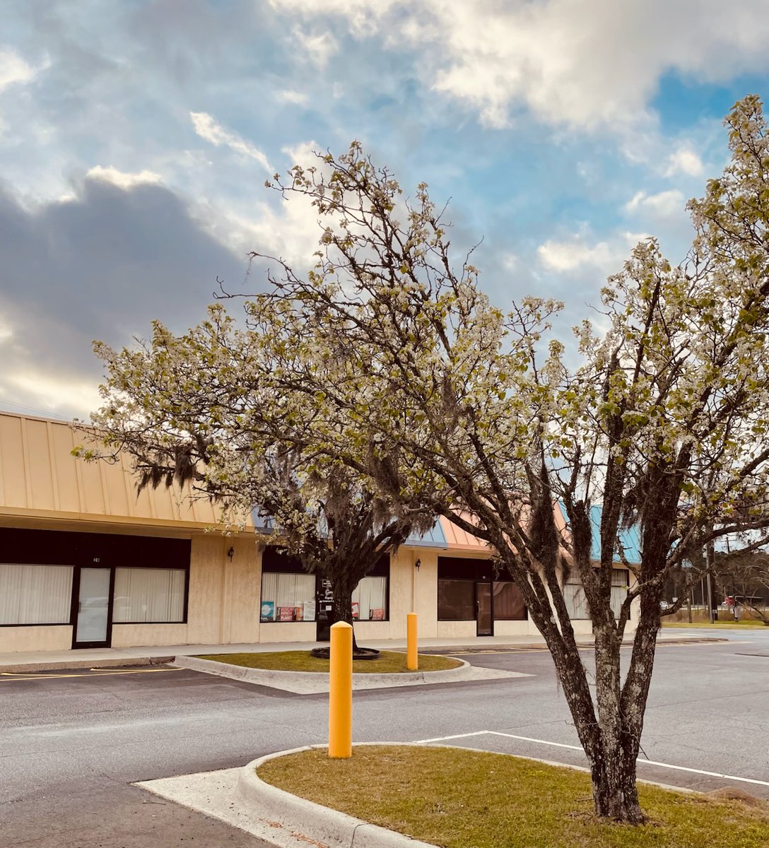 fred gretsch tweet media