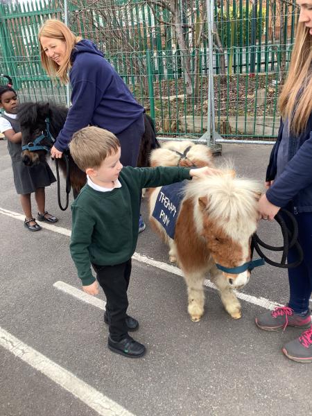 Greenfield Primary Academy tweet media