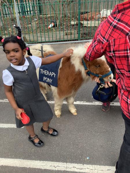 Greenfield Primary Academy tweet media