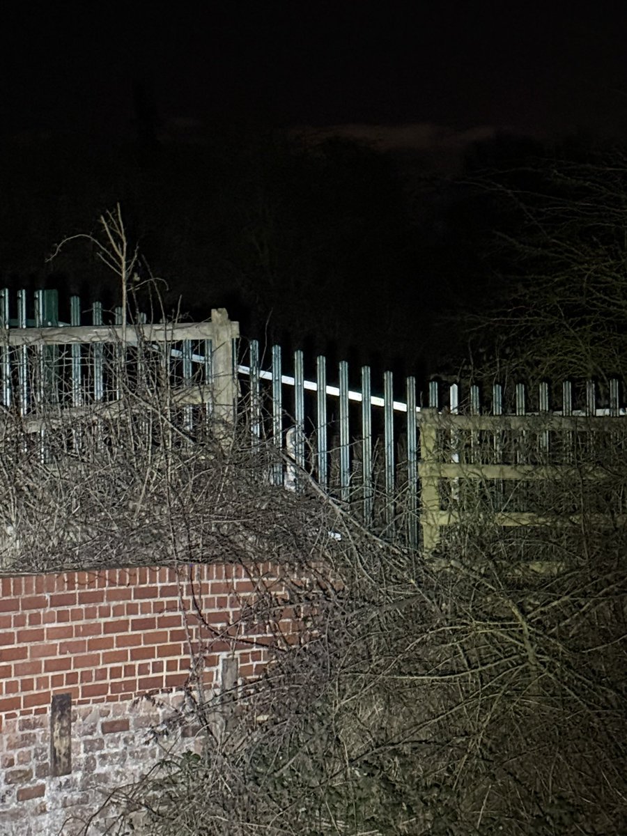 Yorkshire Swan & Wildlife Rescue Hospital tweet media