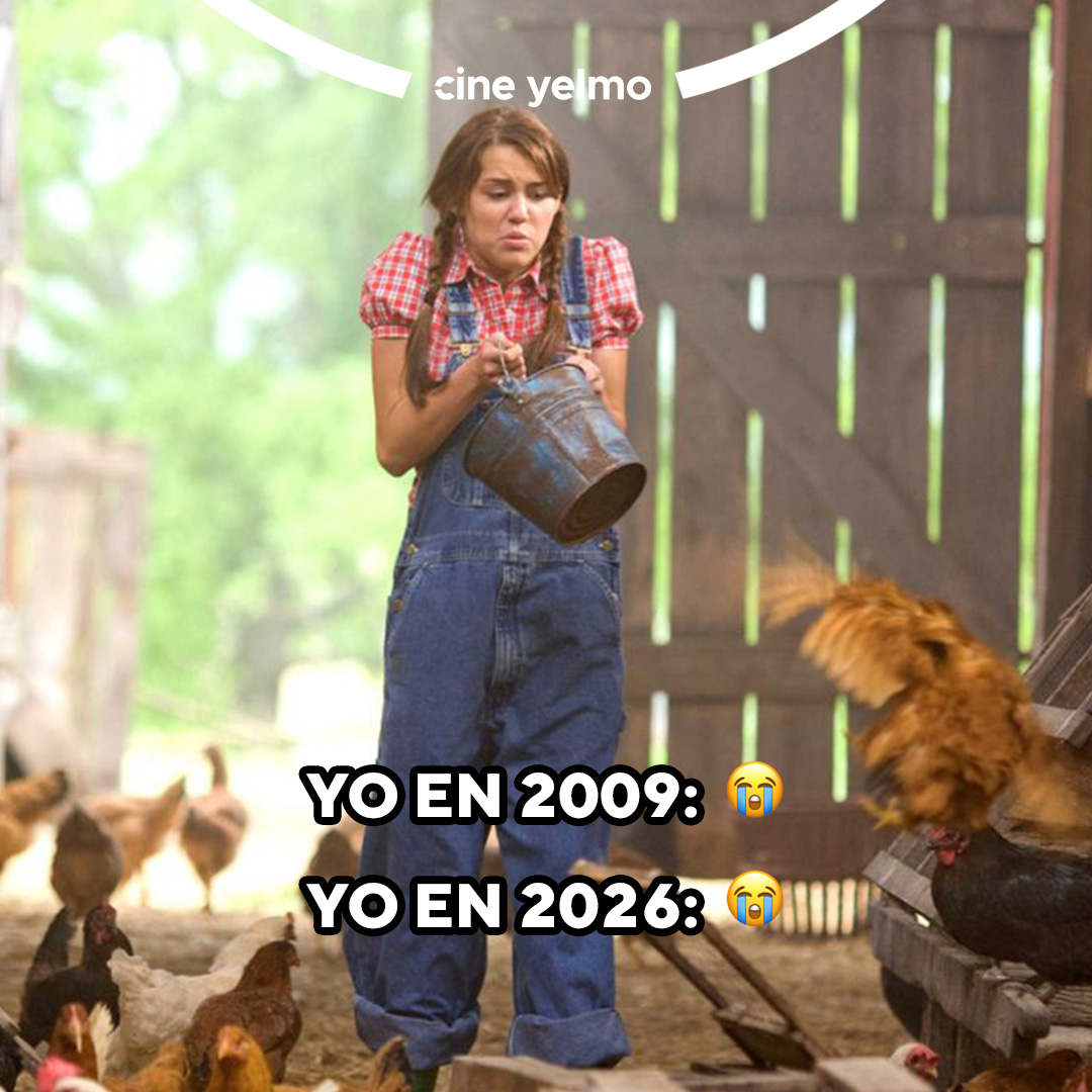 Cine Yelmo tweet media