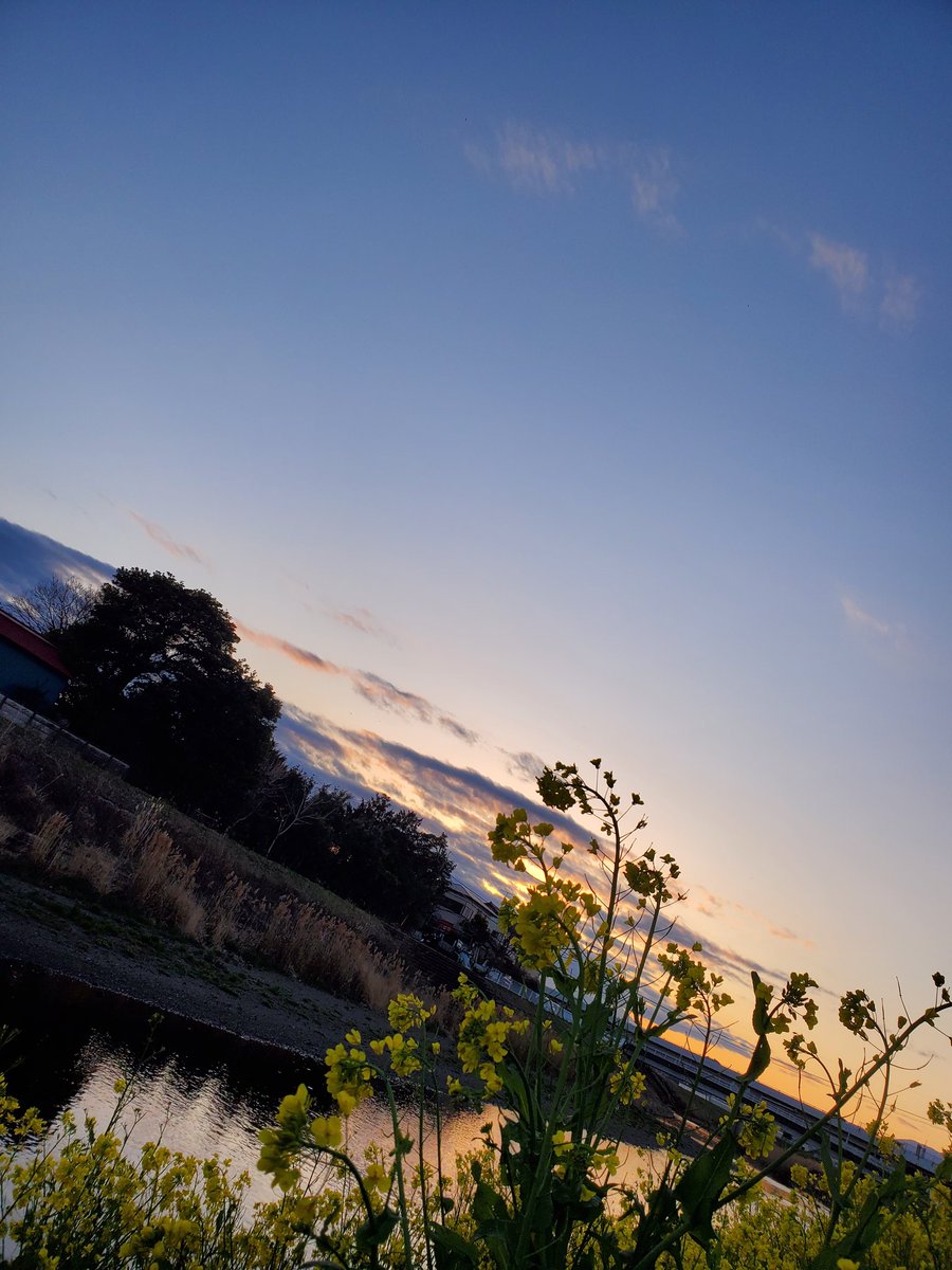 chimaかちゅ！@topwater tweet media