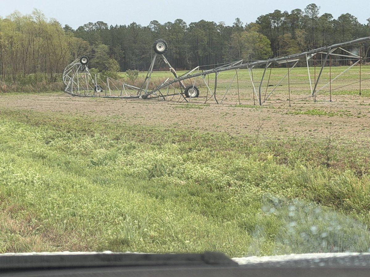 Chase Daughtrey tweet media